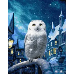 Peinture diamant avec sous-cadre "Magic Owl" 40x50 cm DP415