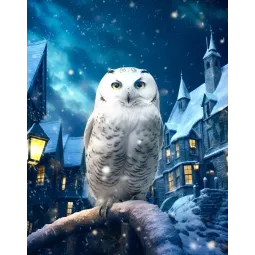 Diamond painting with subframe "Magic Owl" 40x50 cm DP415