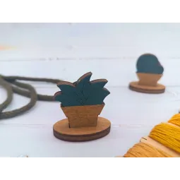 Fadenschneider. Sukkulente KF050/2