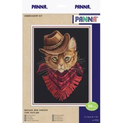 Siuvinėjimo kryželiu rinkinys PANNA "Tom. Outlaw" PJ-7173