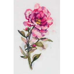 Kryželiu siuvinėjimo rinkinys PANNA „Watercolor peony“ PC-7364