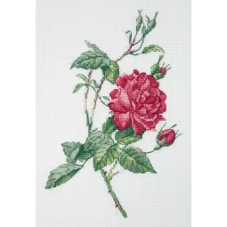 Kreuzstich-Set KLART "Botanik. Rose" KL8-531
