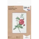 Набор для вышивания крестиком KLART "Ботаника. Роза" KL8-531