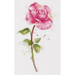 Kryželiu siuvinėjimo rinkinys PANNA "Watercolor rose" PC-7190
