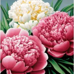 Diamond Painting kit "Peony scent" 30x30 cm WD3075 (D)