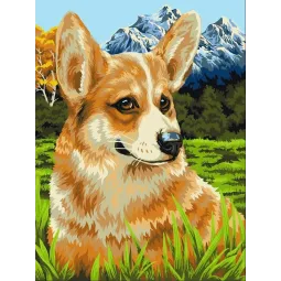 Tapymas pagal numerius rinkinys "Korgis pasivaikščiojime" 40x50 cm H094