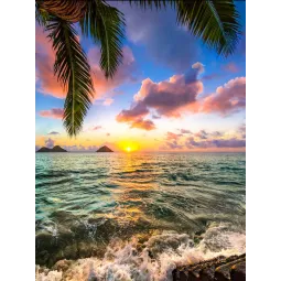 Ocean sunset 30*40 WD3045