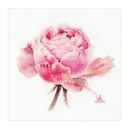 Aquarellrosen. Pink exquisite S2-53
