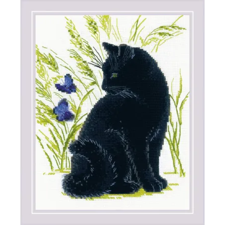 Chat Noir SR2001