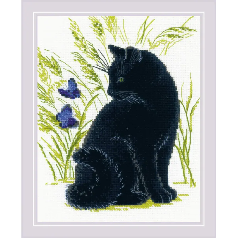 Chat Noir SR2001