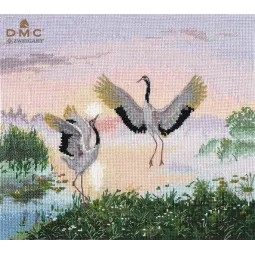 Dancing cranes S1340