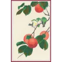 VENTE The White-Eyes and Persimmon S1265 (D)