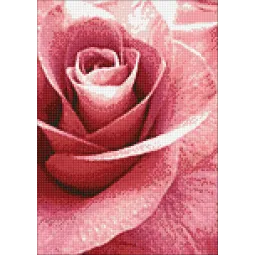 (D) Rose Rose 27 х 38 cm WD019