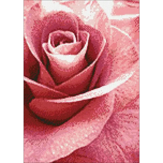(D) Rose Rose 27 х 38 cm WD019