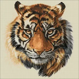 (D) Laukinis grobuonis 38*38 cm WD2515