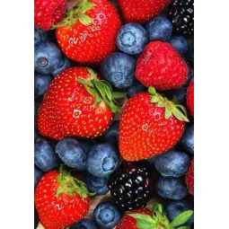 (D) Wildberries 20*30 cm WD051