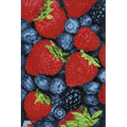 (D) Wildberries 20*30 cm WD051