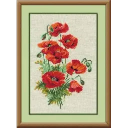 Полевые маки 808