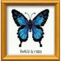 Ulysse Papillon HB095