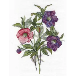 (Nutraukta) Gėlės SNV-545