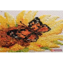 Karšta vasara SR1488