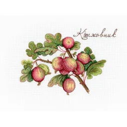 Stachelbeere SNV-634