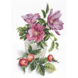 Églantier Tendre SNV-565