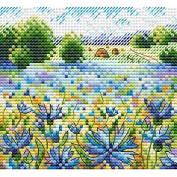 Kornblumenfeld SM-528