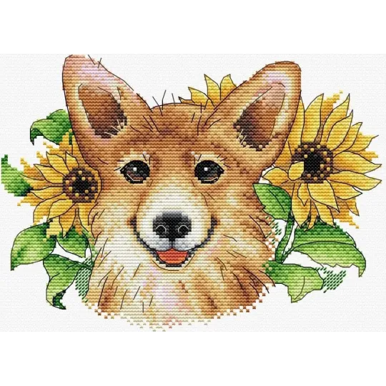 Corgi ensoleillé SM-503