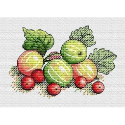 Duftende Stachelbeere SM-592