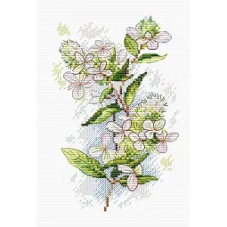 Tendresse Printanière SM-119