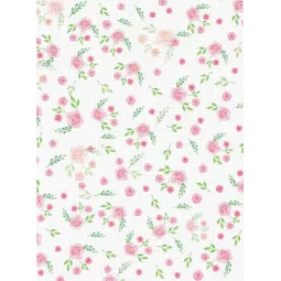 Dizainerio drobė Aida 18 40x30 cm SKD-132