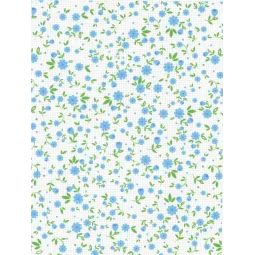 Designer canvas Aida 18 21x30 cm  SKD-103