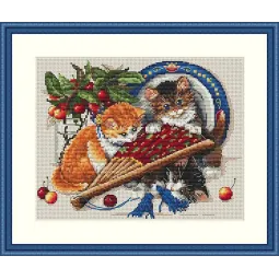 Kittens & Cherries SK68