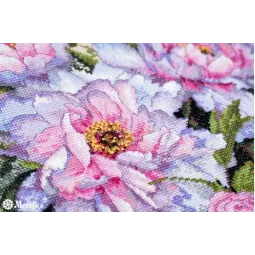 Tendres Pivoines SK177