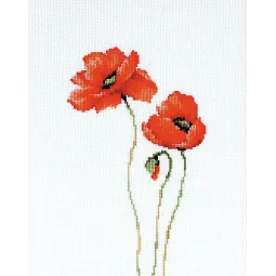 Poppies SB2225