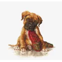 Der Boxer SB2338