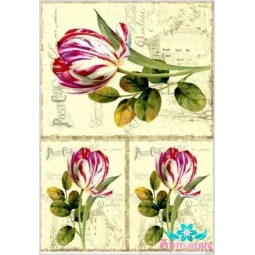 Carte de riz pour découpage "Tulipes sur un fond ancien" 21x29 cm AM400128D