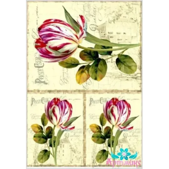 Reiskarte für Decoupage "Tulpen auf altem Hintergrund" 21x29 cm AM400128D