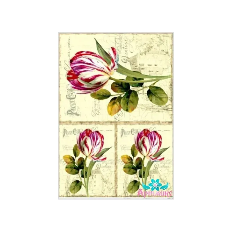 Reiskarte für Decoupage "Tulpen auf altem Hintergrund" 21x29 cm AM400128D