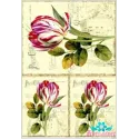 Reiskarte für Decoupage "Tulpen auf altem Hintergrund" 21x29 cm AM400128D
