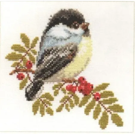 Mésange S1-12