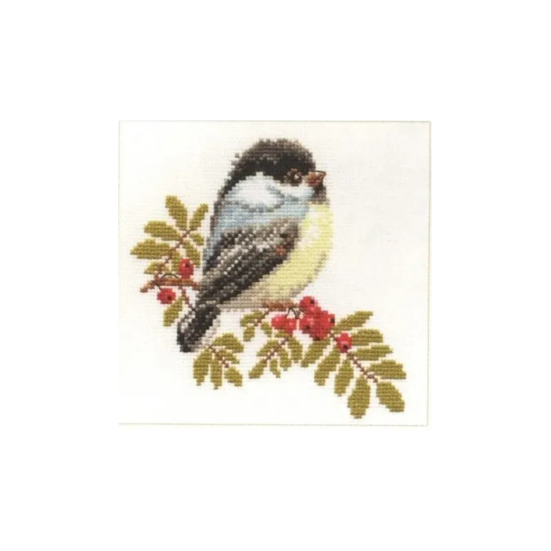 Mésange S1-12