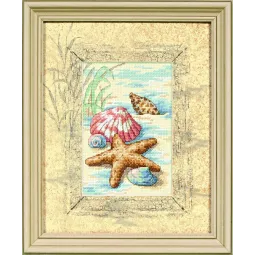 Coquillages dans le sable D06956