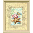 Coquillages dans le sable D06956