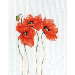 Poppies SB2224