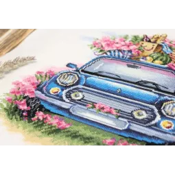 Cross stitch kit "Outdoor recreation" SNV-824