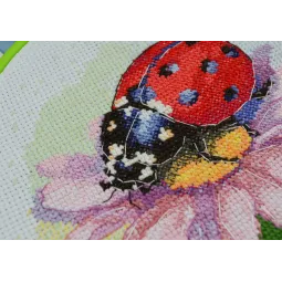 Siuvinėjimo kryželiu rinkiniai su lanku Komplekte Sunny Bedryk 17x17 cm AAHM-078