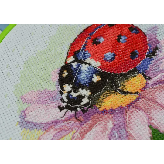 Kreuzstich-Sets mit Reifen inklusive Sunny Bedryk 17x17 cm AAHM-078