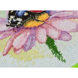 Cross-stitch kits with Hoop Included Sunny Bedryk 17x17 cm AAHM-078